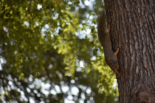 但他打造的 但他打造的