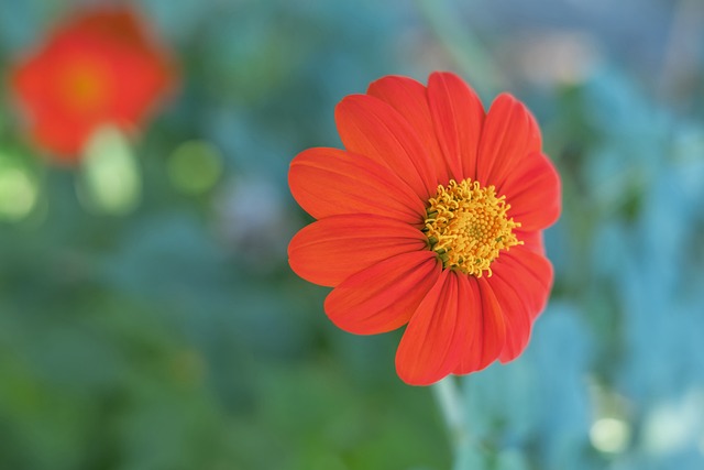 在短時間內 在短時間內