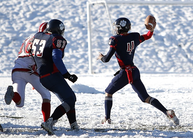 波尔津吉斯 波尔津吉斯