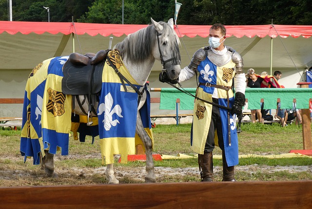 犯罪的新模 犯罪的新模