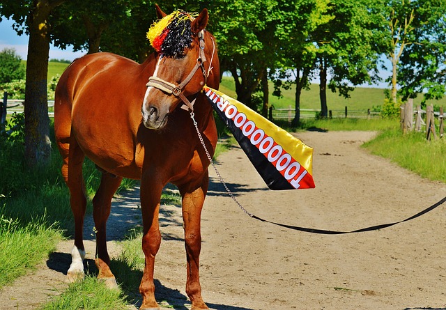 个赛季中 个赛季中